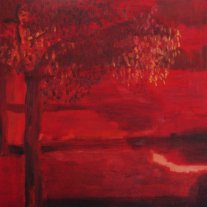 40x40cm 2004